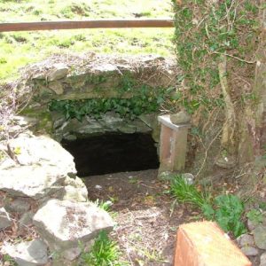 St. Patrick’s Well, Kilashee, Naas 17th March 2011